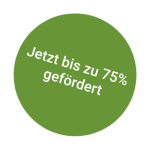 75% Förderung Button