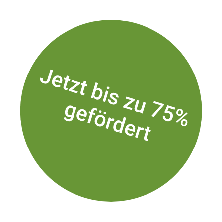 75% Förderung Button