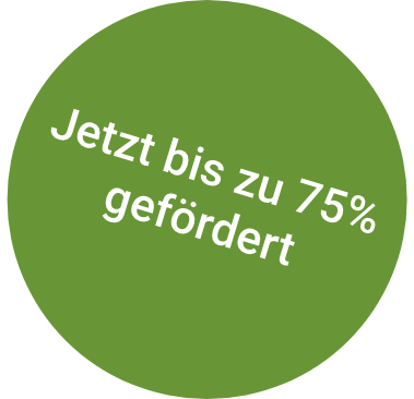75% Förderung Button