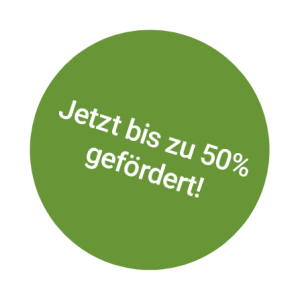 50% Förderung Button