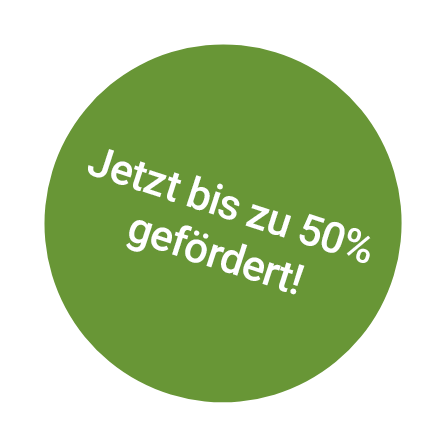 50% Förderung Button